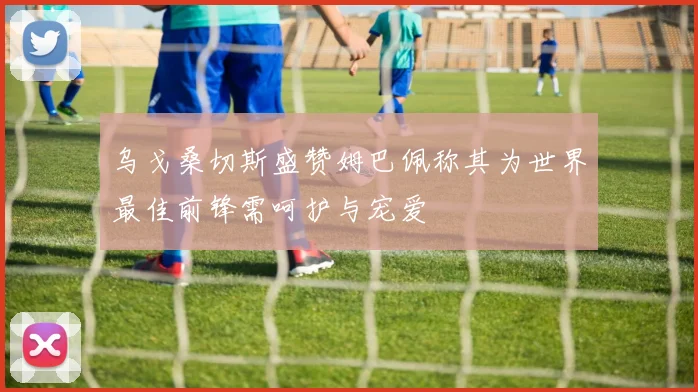乌戈桑切斯盛赞姆巴佩称其为世界最佳前锋需呵护与宠爱