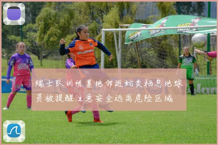 瑞士队训练基地邻近蛇类栖息地球员被提醒注意安全远离危险区域