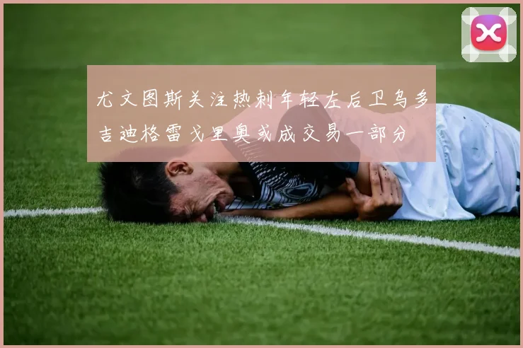 尤文图斯关注热刺年轻左后卫乌多吉迪格雷戈里奥或成交易一部分