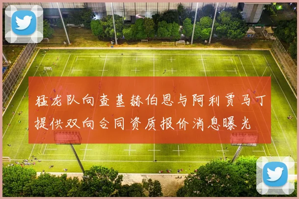 猛龙队向查基赫伯恩与阿利贾马丁提供双向合同资质报价消息曝光